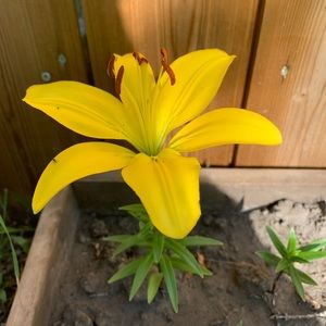 Meet your Posher, Ana marie